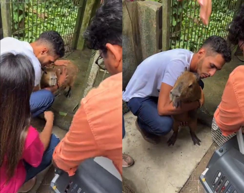 Capivara Filó é devolvida a influencer