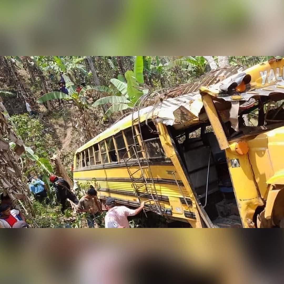 Acidente de ônibus na Nicarágua resulta em seis mortes após ataque de abelhas