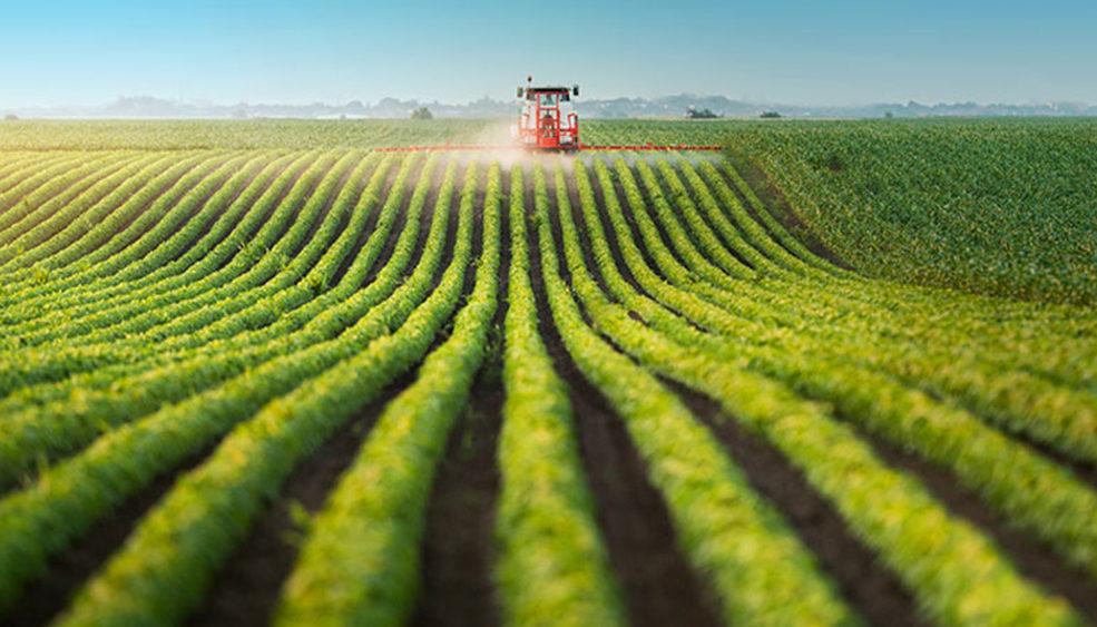 Mudança no cálculo de preços mínimos de produtos agrícolas é aprovada pelo Senado