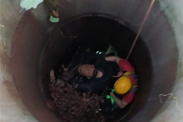 Equipe do Corpo de Bombeiros resgata homem e cachorro que caíram em poço em Passo Fundo