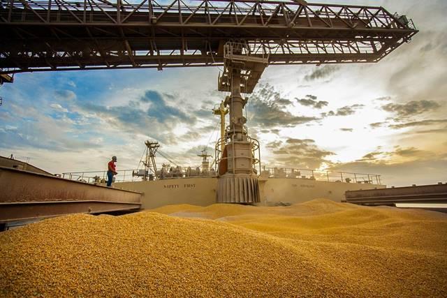 Previsão de queda nas exportações de soja e milho, de acordo com a Conab