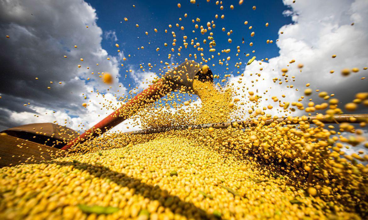 A produção de grãos bate recorde com um crescimento de 18,4% em 2022/2023