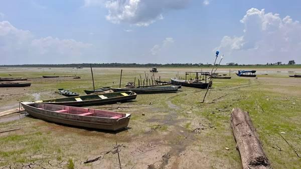 Estiagem severa deixa lago do aleixo em Manaus totalmente seco