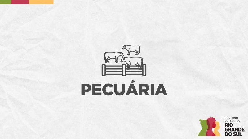 Produtores Rurais no Rio Grande do Sul podem realizar declaração anual de rebanho online