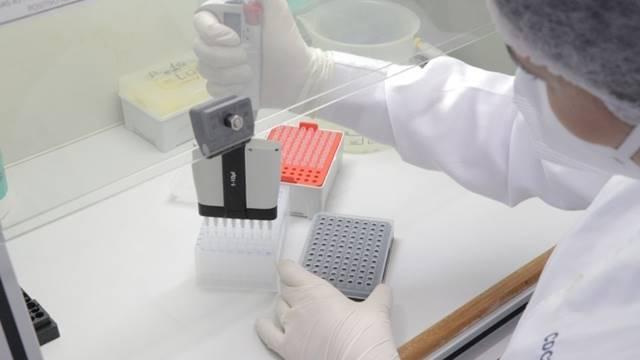 Subvariante Éris da Covid-19 ainda não foi detectada no RS