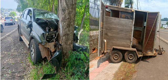 Acidente na BR-480 em Barão de Cotegipe deixa homem ferido e cavalo morto