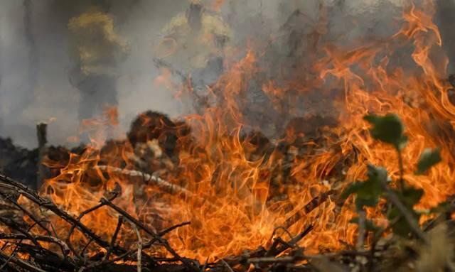 Chuvas combatem incêndios históricos no Pantanal
