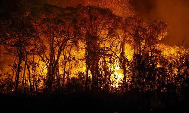 Novembro registra recorde histórico no Pantanal com mais de 3 mil incêndios