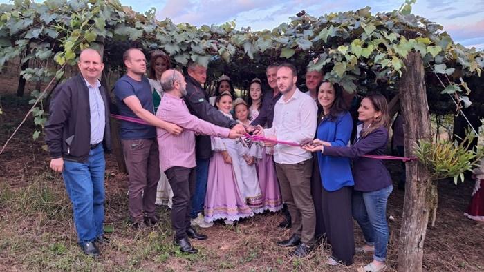 Início da safra da uva e lançamento da Festa di Bacco 2024 em Erechim