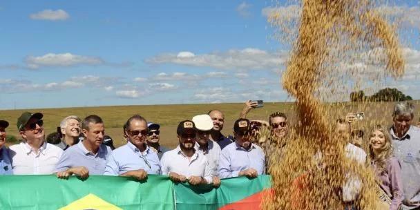 Abertura da colheita da soja no Rio Grande do Sul