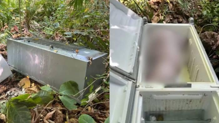 Garota de 13 anos mata mãe com ajuda do namorado e oculta corpo em geladeira