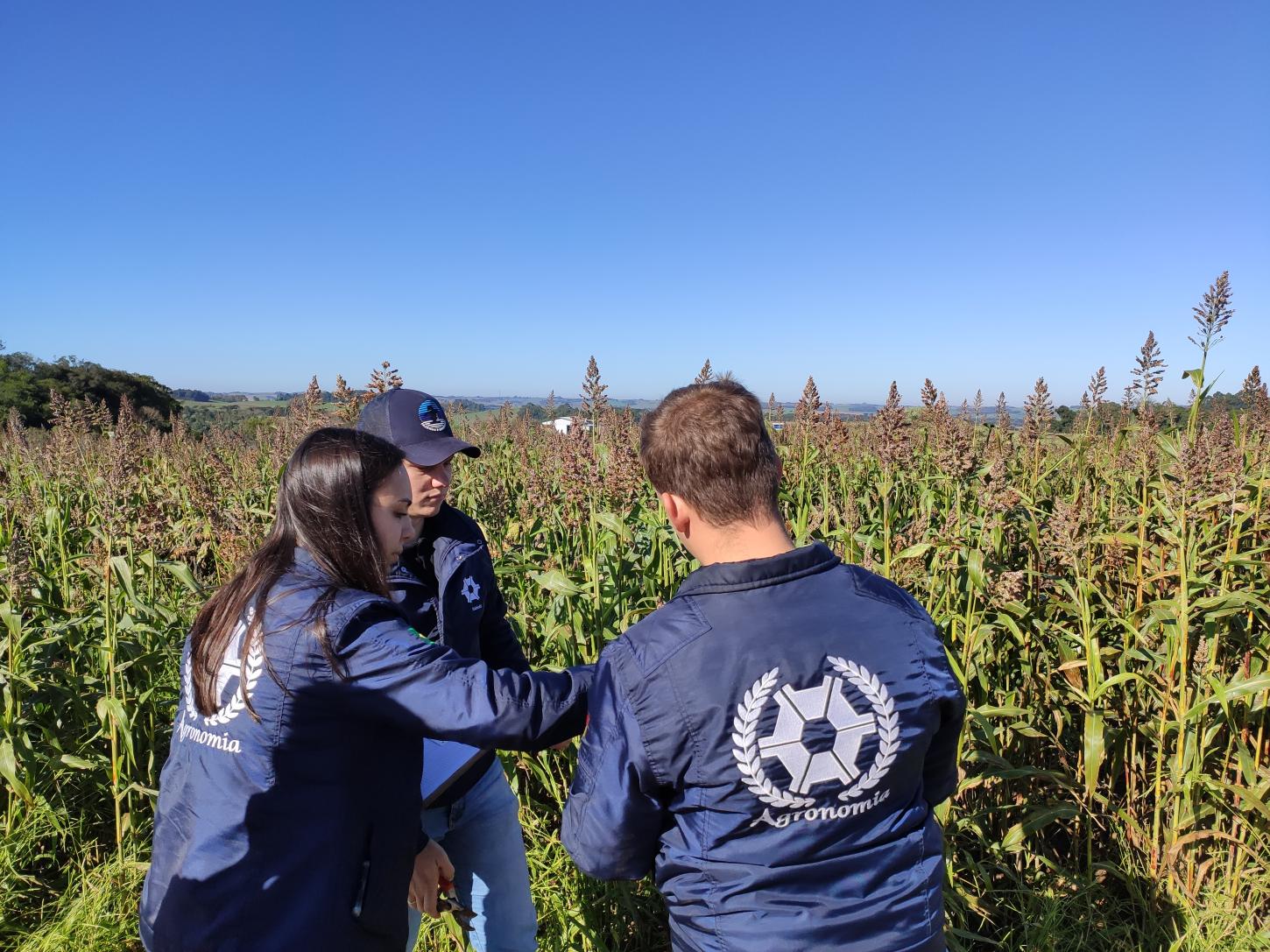 UFFS promove evento 'Agronomia em Campo' para difundir pesquisas e integrar teoria e prática