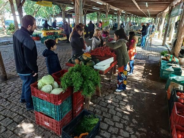 Agricultores familiares retomam feiras em meio às enchentes
