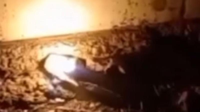 Jovem desenterra ossada em cemitério de SC para ritual