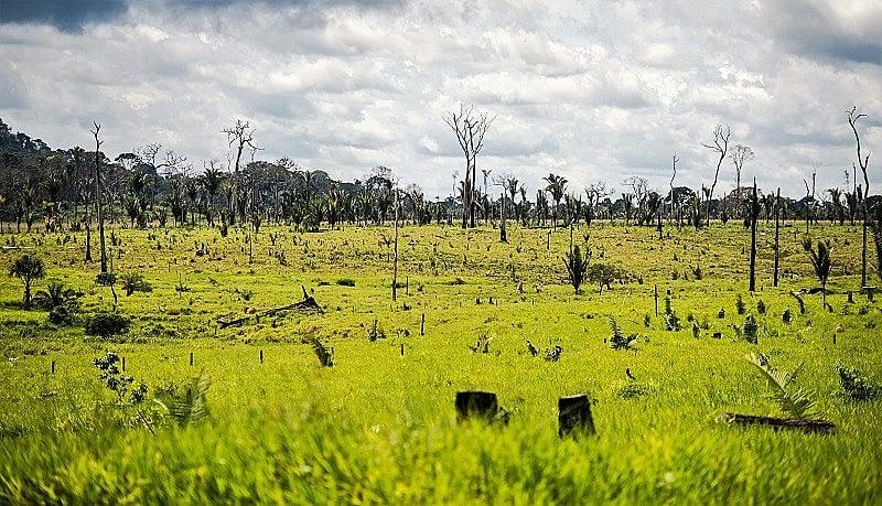 Homem é baleado por parente em disputa de terras em Lagoa Vermelha