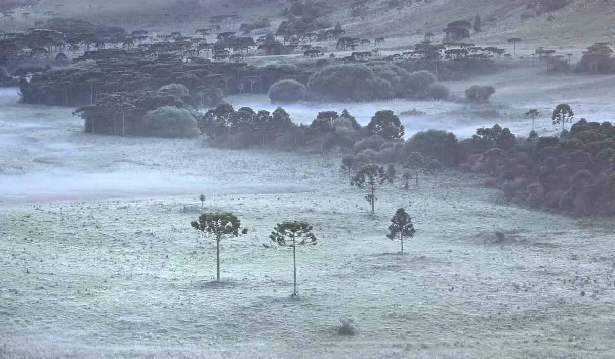 Geada e temperaturas de 3°C são registradas na Serra Catarinense durante o verão