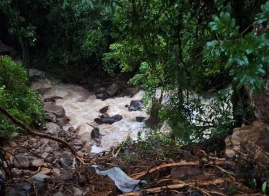 Idoso de 79 anos morre após ser arrastado pela correnteza de córrego no RS