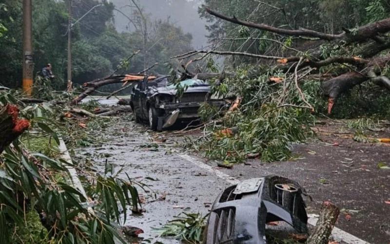 Idoso morre após carro ser atingido por árvore em Sapucaia do Sul