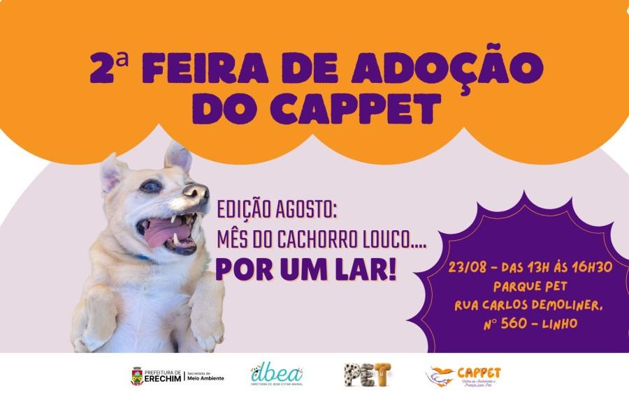 Erechim realiza 2ª Feira de Adoção no Parque Pet com edição temática Cachorro Louco, Louco por um Lar