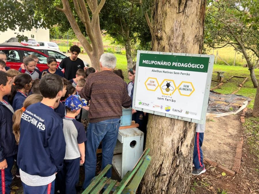 Aprendizado com sabor: a extração de mel na rotina escolar