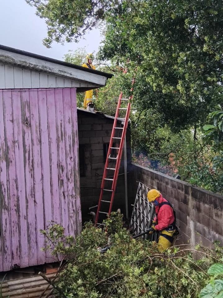 Corpo de Bombeiros atende queda de árvore em residência em Erechim