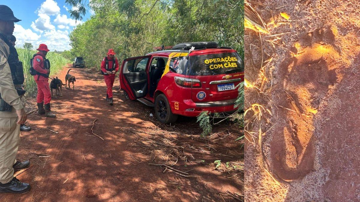 Tragédia no Paraná: Criança sequestrada é localizada morta; suspeito já havia agredido gestante