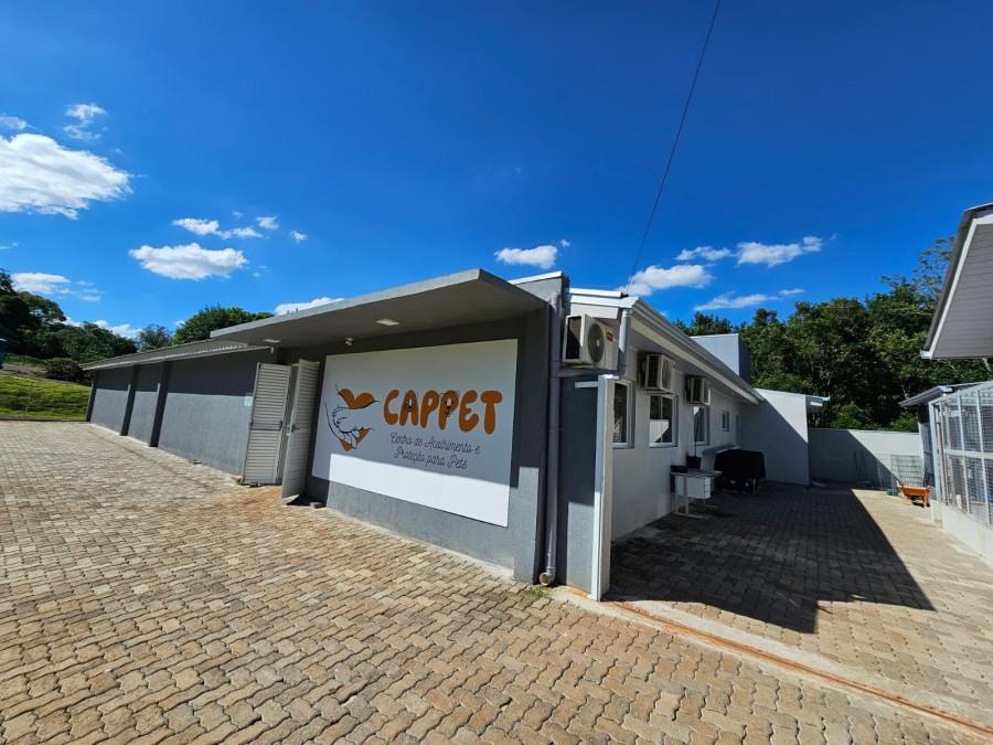 Erechim oferece programa gratuito de castração de pets