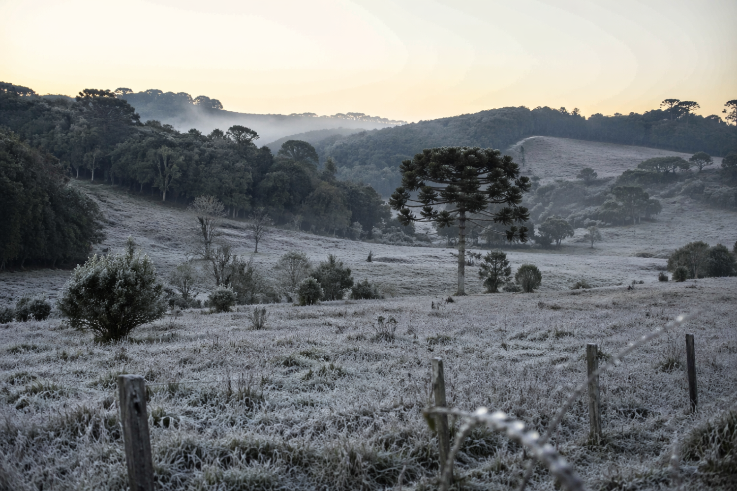 Frio intenso atinge o RS com mínimas abaixo de 4ºC e previsão de geada nos próximos dias