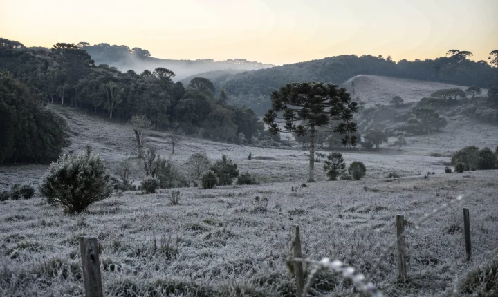 Massa de ar frio derruba temperaturas e pode levar mínimas próximas de 0°C no RS